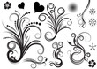 beautiful abstract vector floral design elements