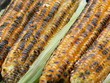 roasted corn