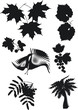 foliage silhouette collection