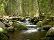 Mountain brook Mountain brook