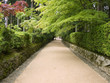 Foto: Temple pathway Temple pathway