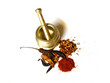 Chilies with Brass Mortar 3