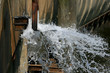 Wasser I