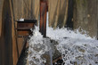 Wasser II