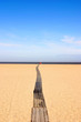 Beach Vista