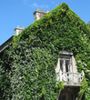 lille 12