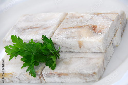 Photo: fisch fisch