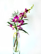 Flowers in the vase Flowers in the vase