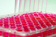Photo en ligne au meilleur prix Using microtips over a well plate