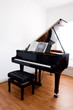 Grand Piano