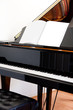 Grand Piano