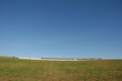 Field
