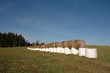 Field