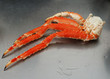crab clow