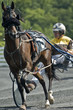 harness racer