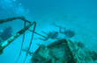 Divers, Utila