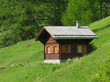 Chalet suisse à Derborence