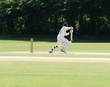 cricket batsman