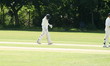 cricket