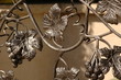 Antique iron railing Antique iron railing