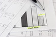 Business papers and ballpen