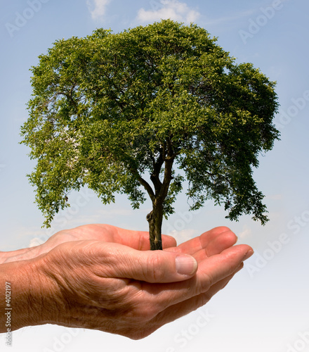 Photo: Hand mit Baum Hand mit Baum