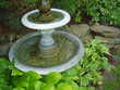 garden1 garden1