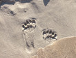 footprints in the sand