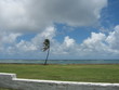 resisting the wind