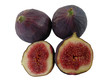 FICUS CARICA