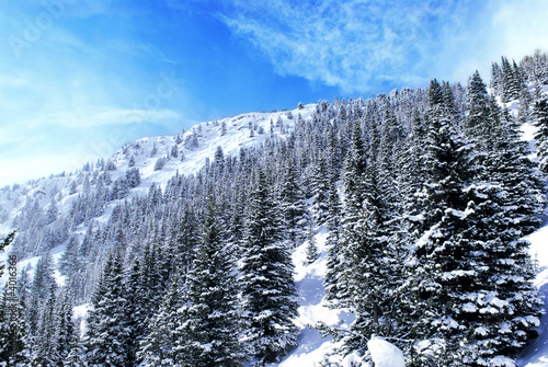 Photo: Mountain landscape Mountain landscape