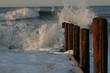 Wave Terminal