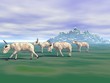 Antilopes