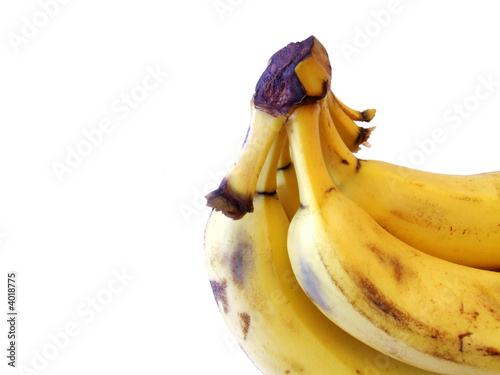 Photo: banana bunch with clipping path banana bunch with clipping path