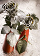 Silver roses