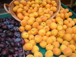 abricots