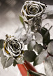 Silver roses