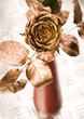 Gold rose