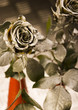 Silver roses