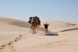 Photo: caravan in desert Sahara caravan in desert Sahara