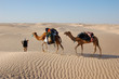Photo: camel caravan in desert Sahara camel caravan in desert Sahara