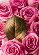 Pink bouquet