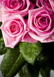 Pink bouquet