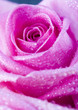 Romance