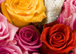 Bouquet of roses