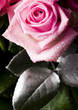 Pink bouquet