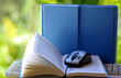 Mouse with book and keyboard Mouse with book and keyboard
