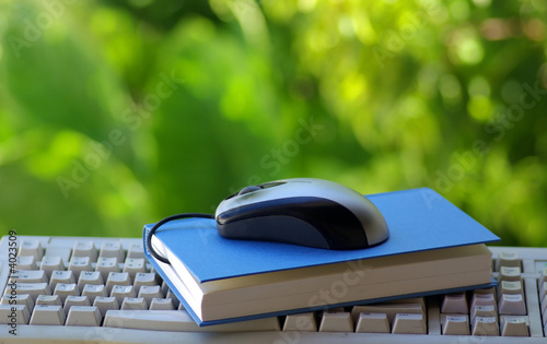 Mouse with book and keyboard Mouse with book and keyboard