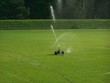 sprinkler