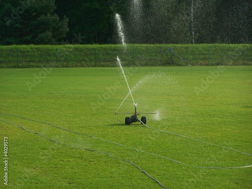 sprinkler sprinkler